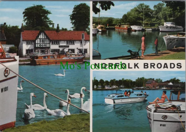 Norfolk Postcard - The Norfolk Broads, Lord Nelson at Reedham  RR16032