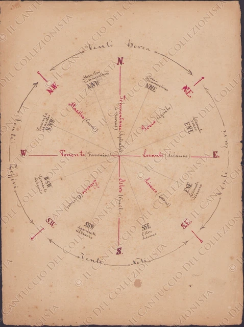 Disegno Rosa dei venti punti cardinali diagramma