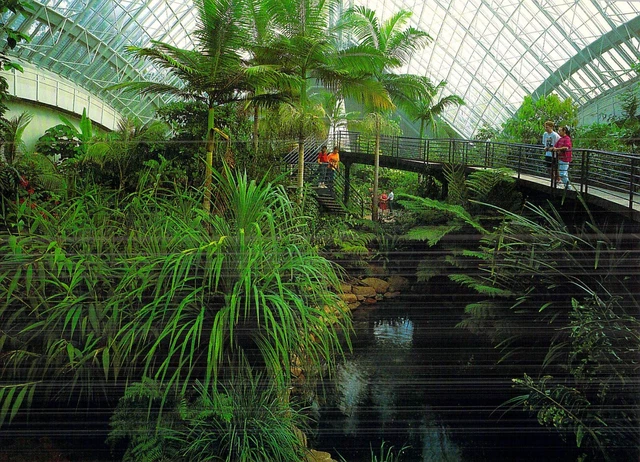L1992 Australia SA Adelaide Botanic Garden Conservatory postcard