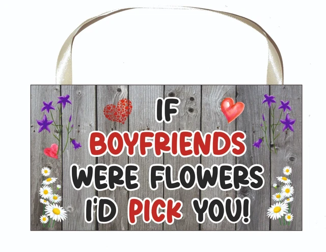 Boyfriend Plakette - Wenn Boyfriends Were Flowers I'd Pick You - Lustiges süßes Geschenk 2