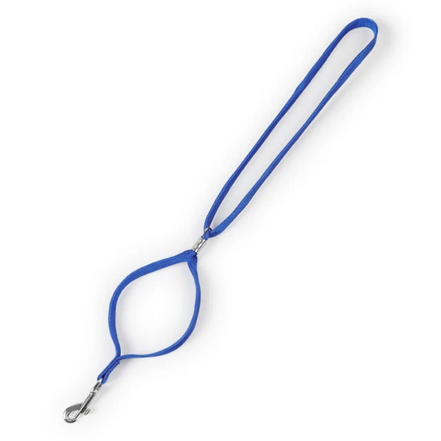 4 pz Tavolo per toelettatura corda per animali domestici per guinzaglio cane porta clip testa