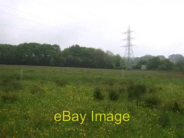 Photo 6x4 Grazing, woodland and pylon Townend North of the A6. c2014
