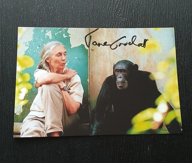 JANE GOODALL ENGLISH PRIMATOLOGIST AUTOGRAPHED SIGNED 4x6 GLOSSY PHOTO