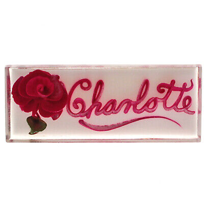 Vintage Reverse Carved Lucite Name Pin Brooch CHARLOTTE, Pink Lettering Red Rose