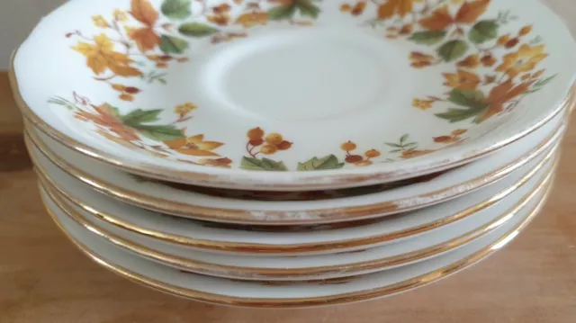 Queen Anne Bone China Saucer and Bread and Butter Plate  -  Autumn Leaves design 3