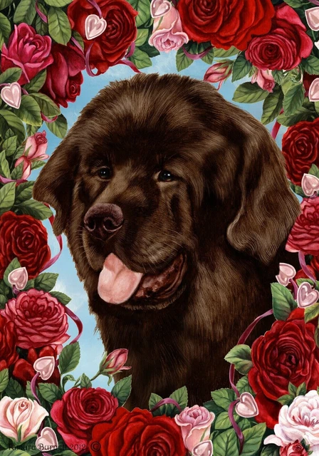 Roses Garden Flag - Chocolate Newfoundland 199101