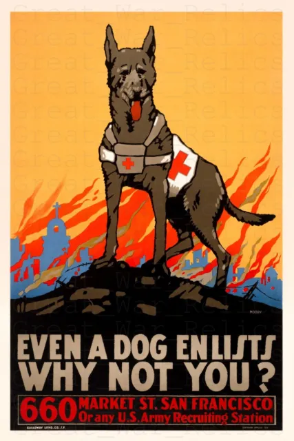 WW1 US Recruiting Propaganda Poster - Even a Dog Enlists, American Red Cross