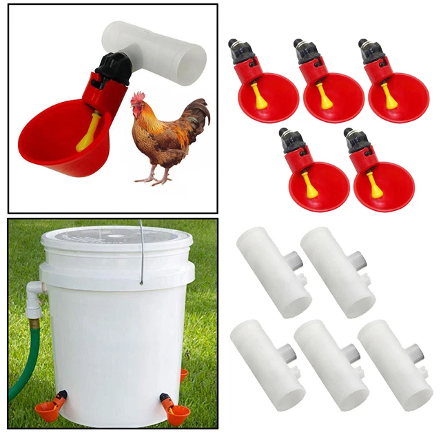 5PCS Alimentatore Automatico di Acqua Pollame Bere Tazze per il Pollame Pollo