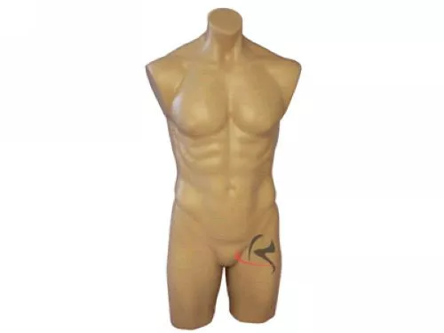 Male Manequin Mannequin Manikin Torso Form #PS-P908F