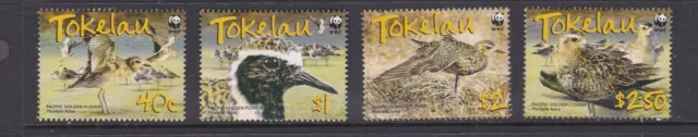 Juego de estampillas de aves Tokelau 2007 montadas sin montar o nunca montadas