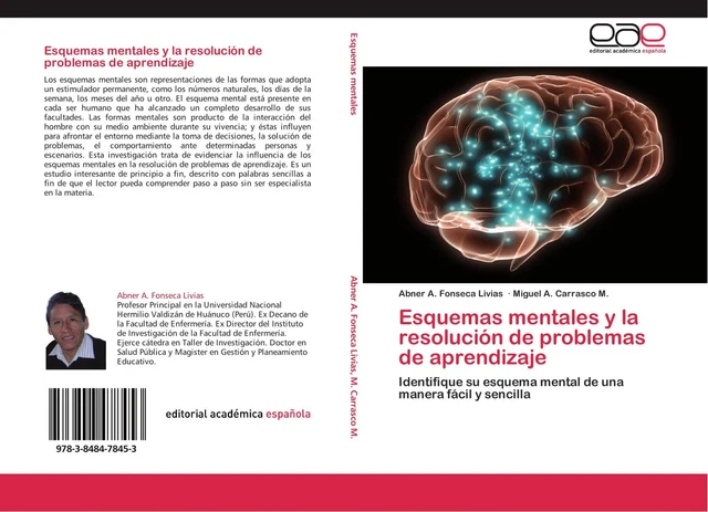 ESQUEMAS MENTALES Y la resolución de problemas de aprendizaje | Livias ...