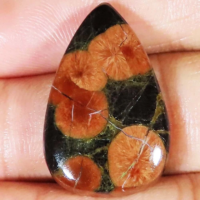 (19x30x05 MM Größe) 25.10 Cts. Natürlich Erdnuss Obsidian Birne Form Lose