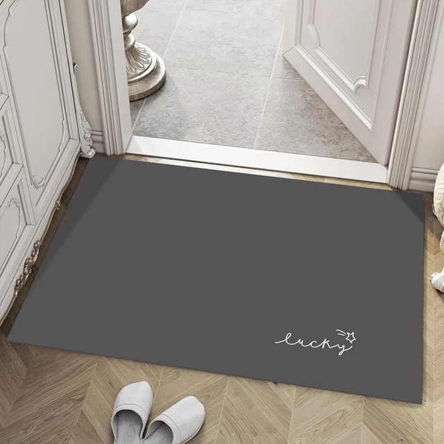 THIN DOOR MATS for inside Entry，1/10 Front Door Mats for Entrance