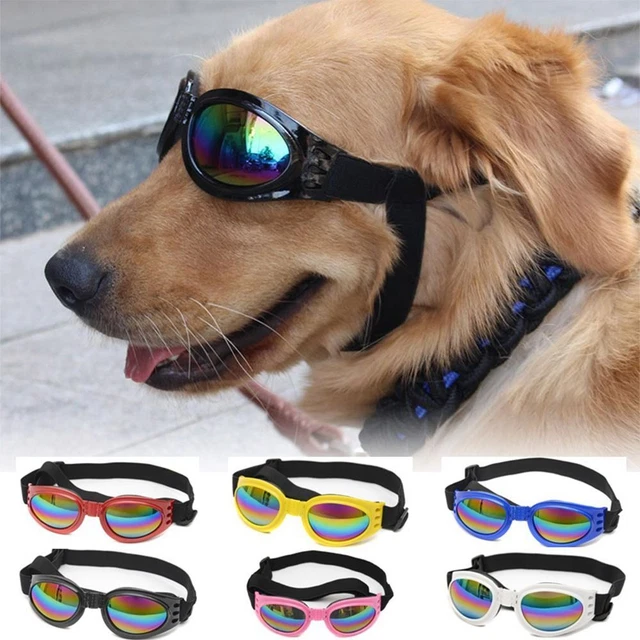 Occhiali da sole protezione cani impermeabili protezione UV forniture per animali domestici