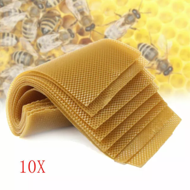 10x Beekeeping Honeycomb Foundation Wax Frame Honey Hive Equipment Tool Supplies