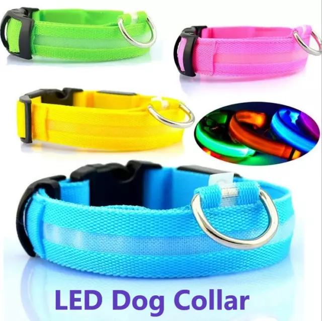 LED Light up Pet Dog Collar Safety Bright Flashing Neon Night Glow Adjustable