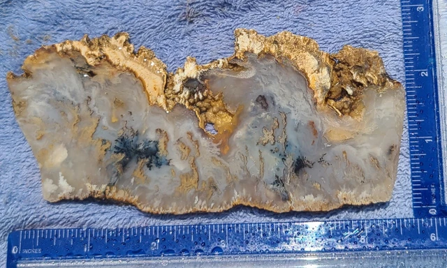 Graveyard Plume Agate slab