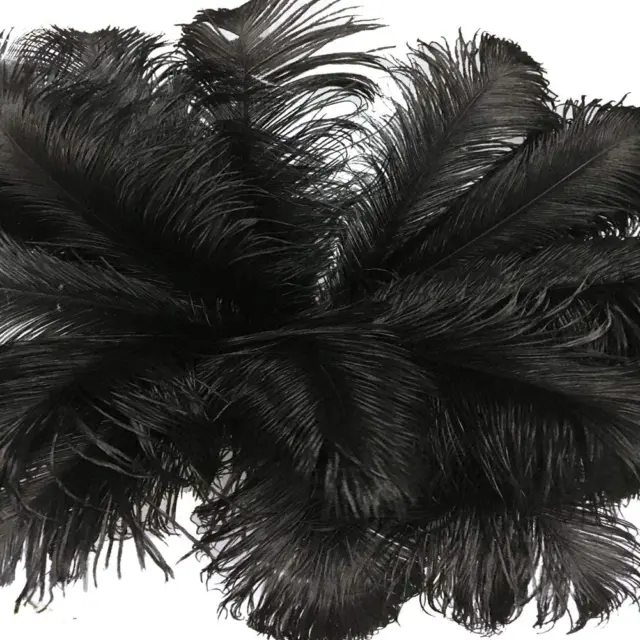 10Pcs Ostrich Feathers 18-20 Inch (45-50Cm) for Home Wedding Party Decoration (B