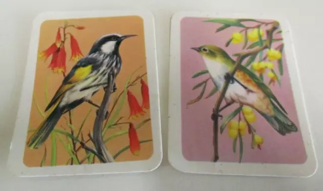 Tuckfield's Tea - Australiana Bird Studies Cards - Nos. 240 and 272 - Vintage