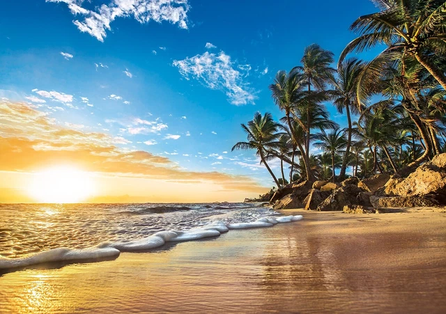 Puzzle Adulte : Lever du soleil Paysage Tropical - 1500 Pieces - Clementoni