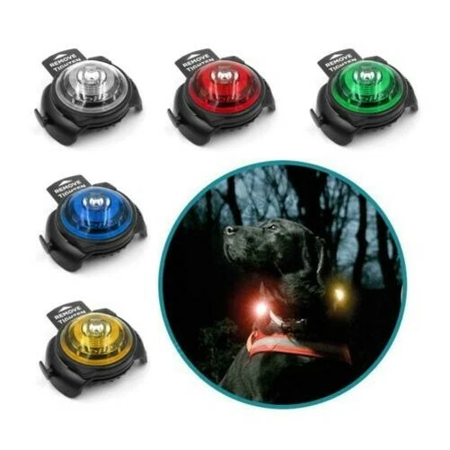 Orbiloc Perro Seguridad Luz Collar Clip Flash Noche Paseo Agua Alto Vis Nuevo