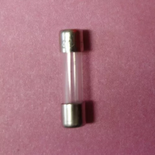 Fusible rapide verre CEHESS 5x20 0,31A