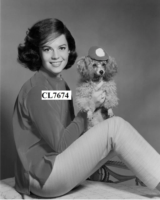 Natalie Wood Strikes a Pose with Her Silver Poodle 'Morningstar' Photo