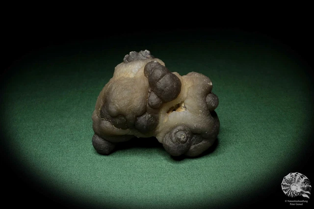 Chalcedon Marokko Stufe Mineral Sammlung Kristall Deko deco