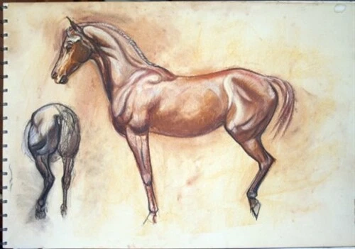 #1 Maureen Love Original Horse Sketches