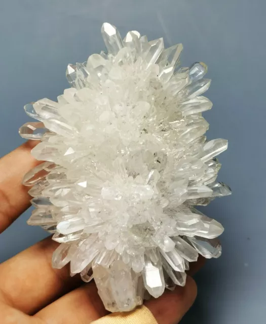 Natural Clear White Chrysanthemum Crystal Himalayan Quartz Cluster/Mineral