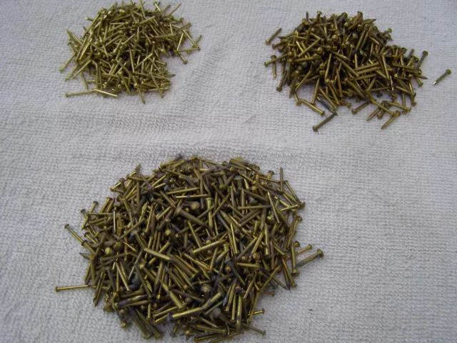 Vintage Solid Brass Dome Head Nails Many Sizes Escutcheon Pins - Brads 1 Lb 12oz