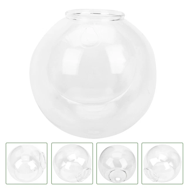 FIORIERA SOSPESA BETTA Acquario Contenitore Di Vetro Sospeso Home Decor