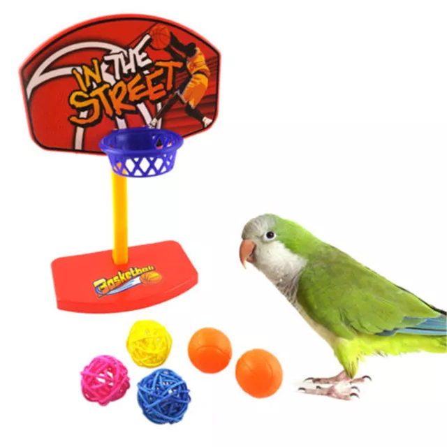 Pet Bird Chew Toys Parakeet Parrot Basketball Hoop Prop Trick Prop Balls#DC