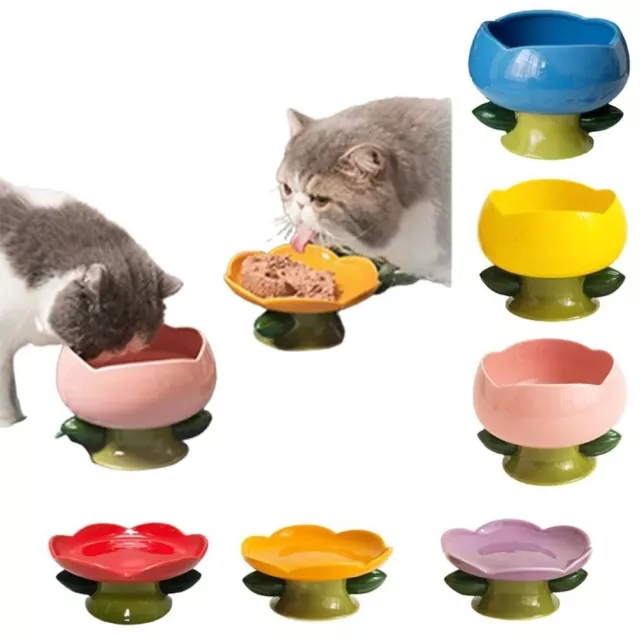 Pet Feeding Bowl Water Container Cat Feeder Supplies Puppy Kitten Food Bowl AU