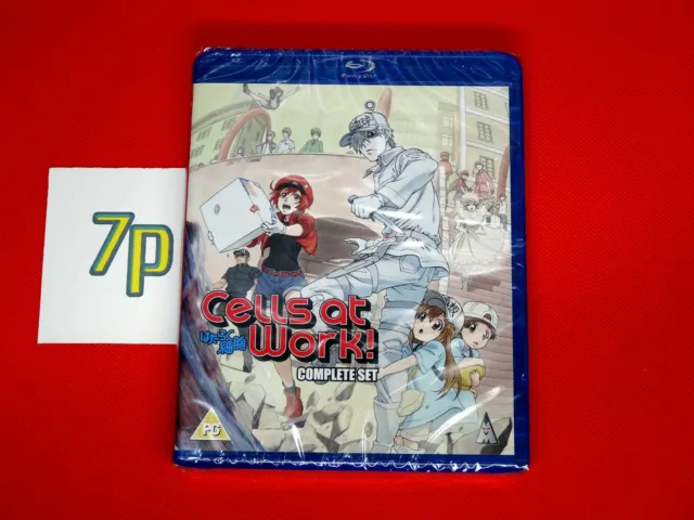 DVD Anime Hataraku Saibou (Cells At Work!) Season 2 + BLACK (1-21
