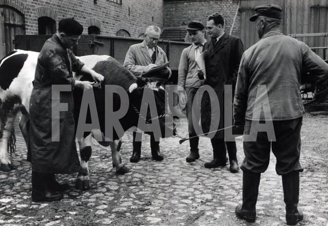 Photo Vintage Originale Roberto Farinacci - Italie Années 30 - Tirage Argentique 24x18cm