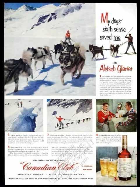 1953 Switzerland Aletsch Glacier dog sled team photo Canadian Club whisky ad