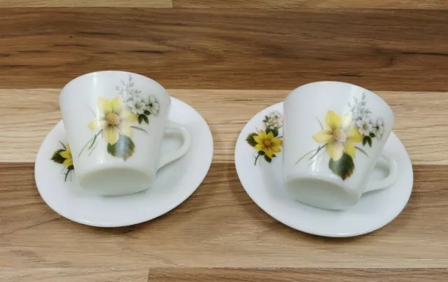 2 x Vintage / Retro Pyrex Autumn Glory Cups & Saucers