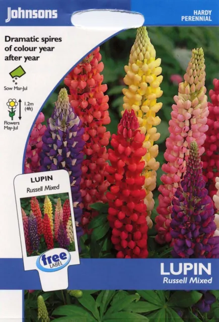 Johnsons Seeds - Pictorial Pack - Flower - Lupin Russell Mixed - 60 Seeds