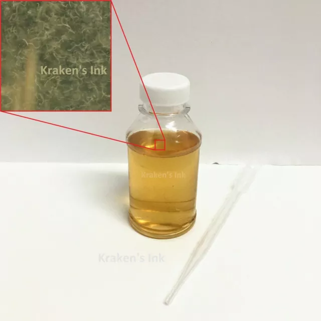 4oz 10,000+ Live Vinegar Eel Culture, (Turbatrix aceti) 1mm Size - USA Bred