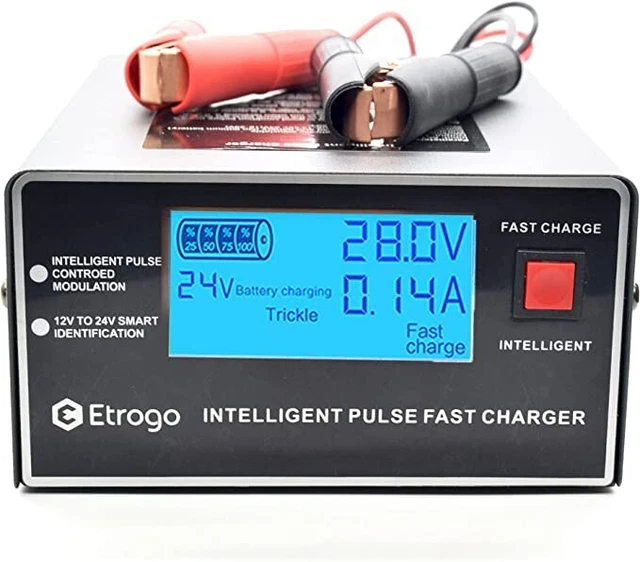 Etrogo Caricabatteria Auto 12V 24V 10A 250W Caricatore Di Impulsi Intelligente C