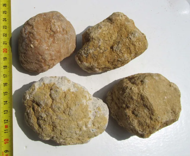 Quarzgeoden, 4 Stück zus. 1025 g. geschlossen Geoden knacken Glücksgeoden (G40)