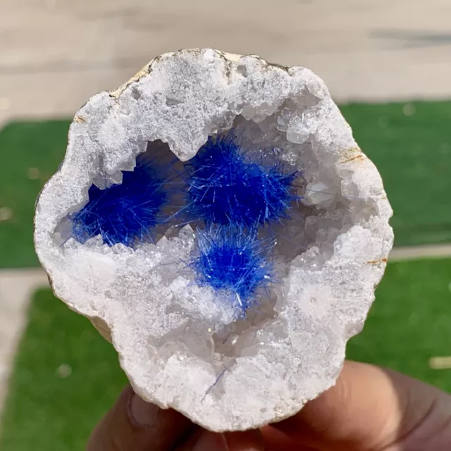149G Rare Moroccan blue magnesite and quartz crystal coexisting specimen