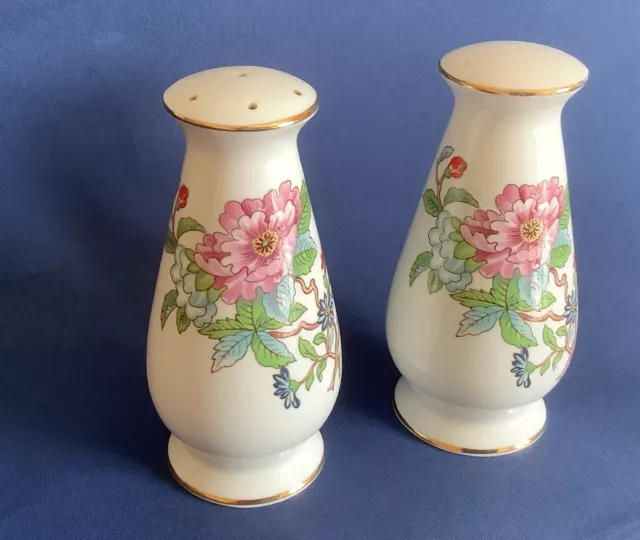 Aynsley Pembroke Bone China  Flat Top Salt & Pepper Set