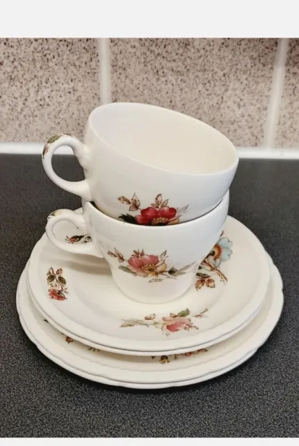 Staffordshire Swinnertons England 2 Cups 2 Saucers & 1 Side Plate