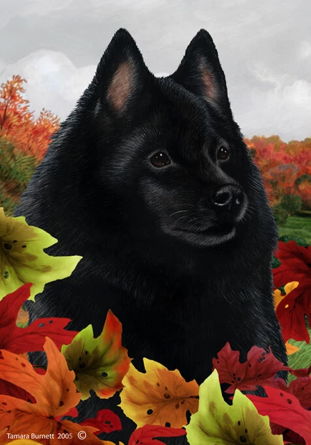 Fall House Flag - Schipperke 13101