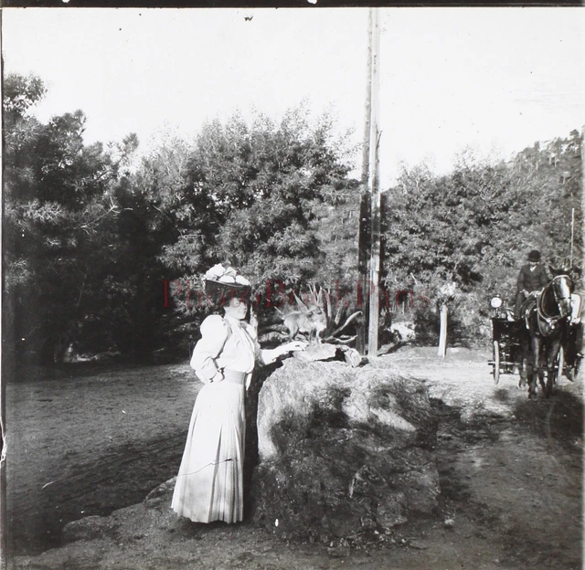 FRANCE Femme Mode c1900 Photo Stereo Plaque de verre V26L9n2