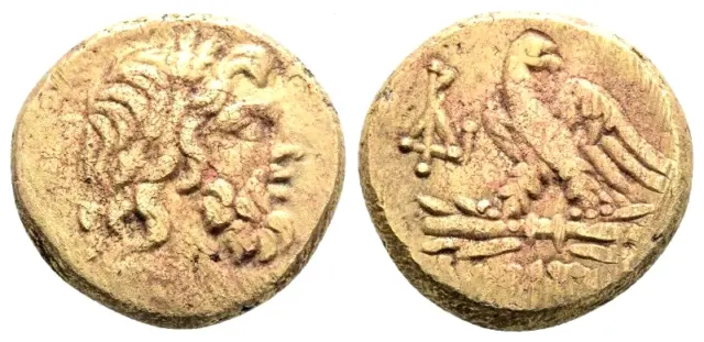Pontos. Amisos. Circa 85-65 BC.Ancient Greek AE Coin