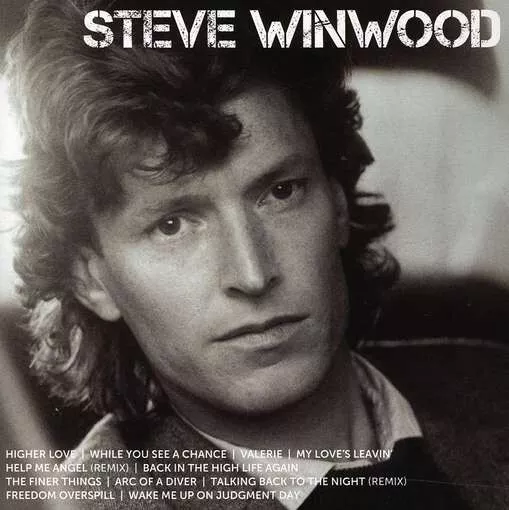 Steve Winwood - Icon (CD, Comp)