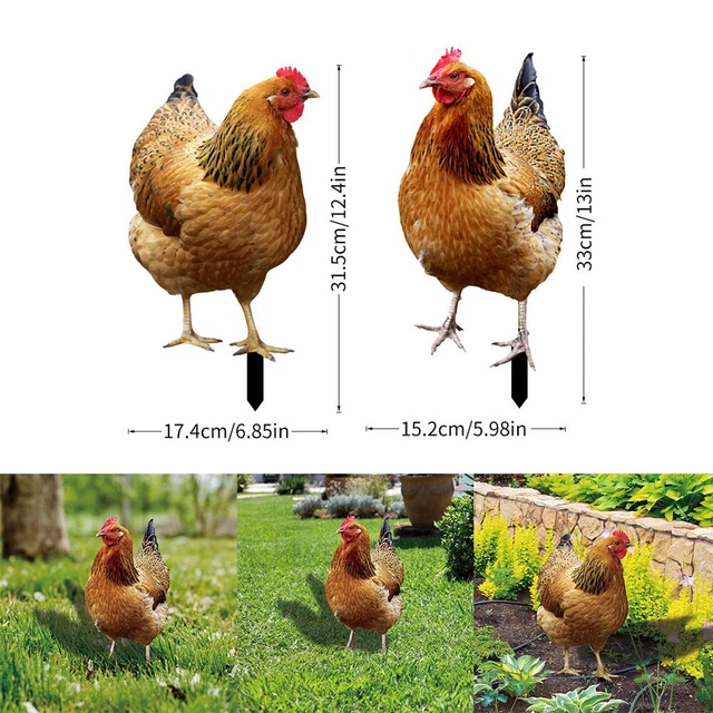 Décoration Jardin Poule En Acrylique - Statue Réaliste Résistante Aux Intempéries - 2 Tailles Disponibles